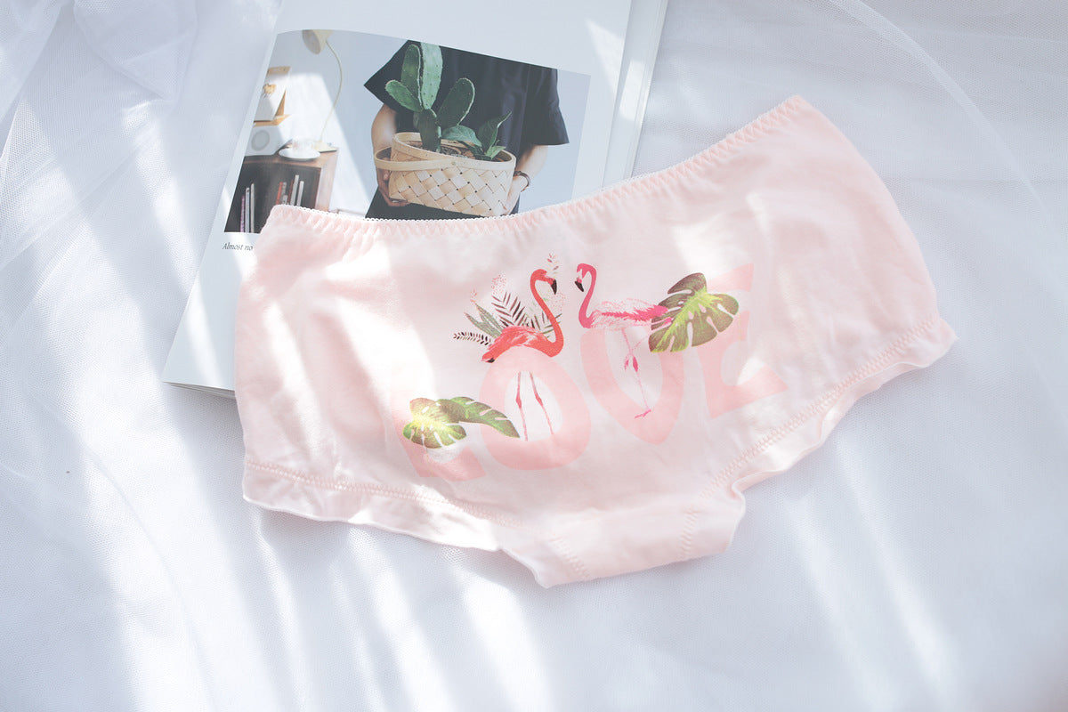 Swan Pastel Aesthetic Tumblr Candy Japanese Cute Kawaii Sweetie Baby Panty