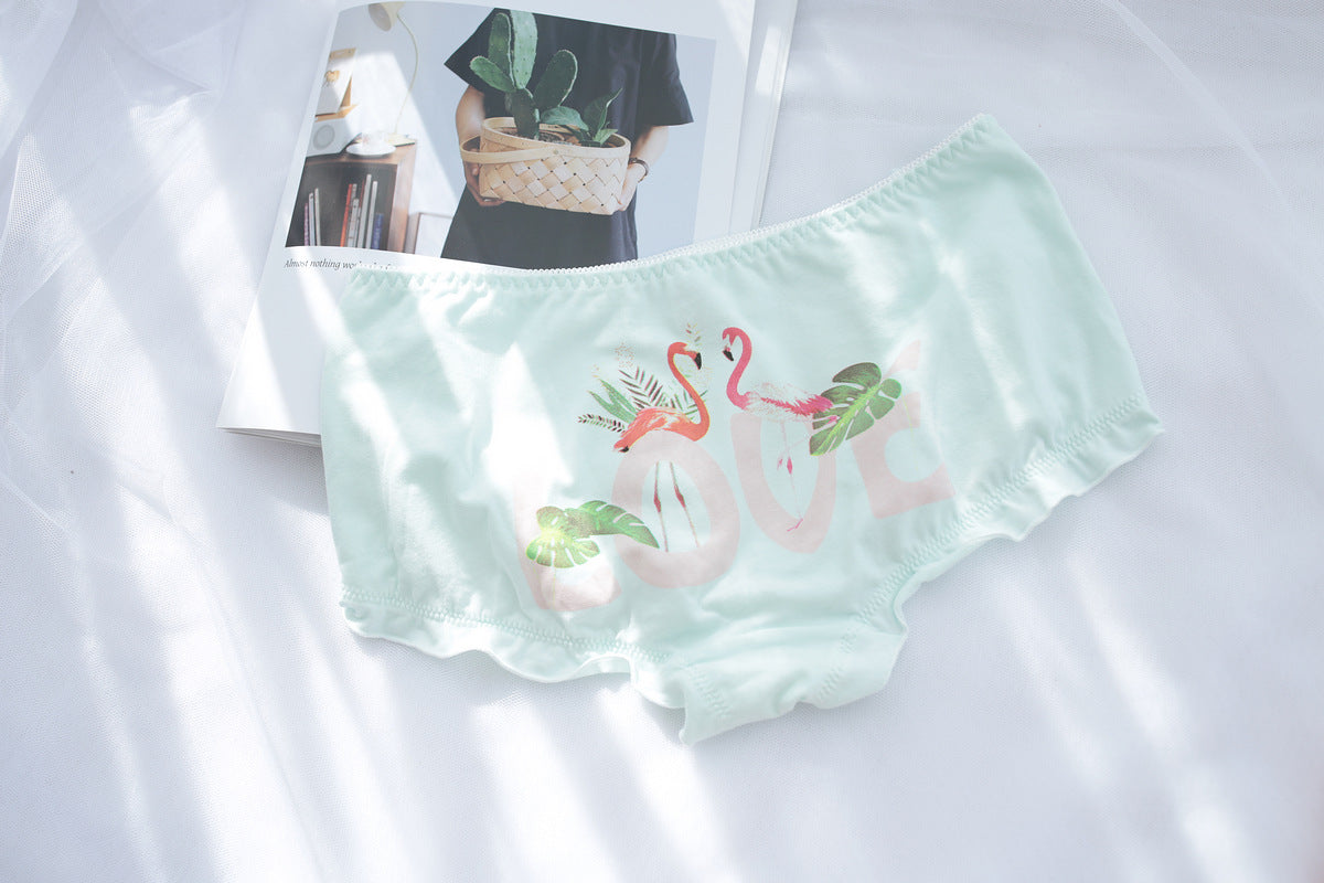Swan Pastel Aesthetic Tumblr Candy Japanese Cute Kawaii  Sweetie Baby Panty