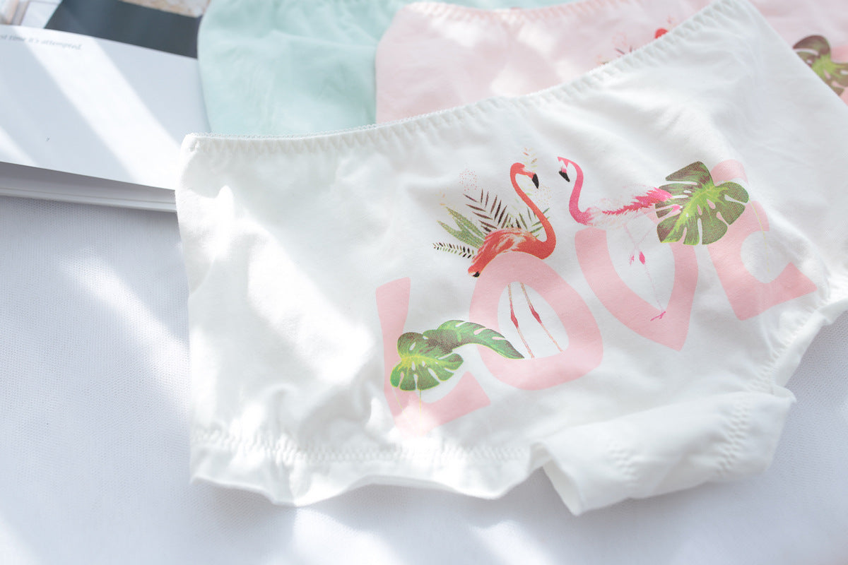 Swan Pastel Aesthetic Tumblr Candy Japanese Cute Kawaii  Sweetie Baby Panty